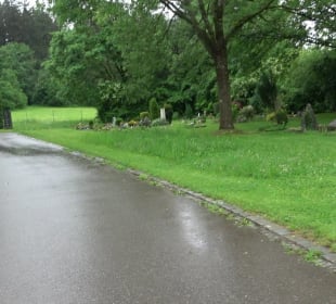 Neuer Friedhof am Schorren