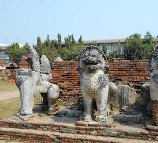 Wat Thammikarat