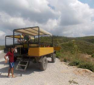 Unimog mit Leo