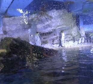 Tierpark Hellabrunn - Polarwelt