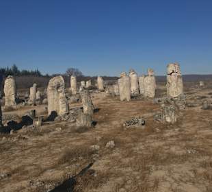Steinwald close to Varna