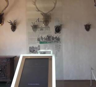 Hasensaal - Schlossmuseum