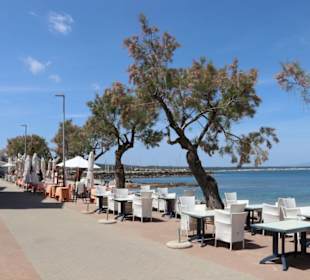 Colonia de Sant Pere