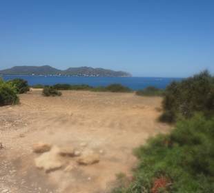 Blick von der Burg Castell