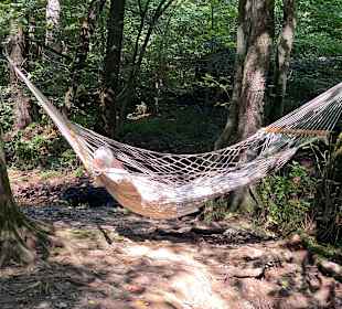 Wandern Höhr Grenzhausen