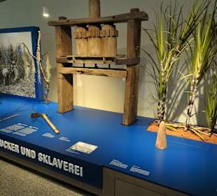 Rundgang durch das Übersee-Museum