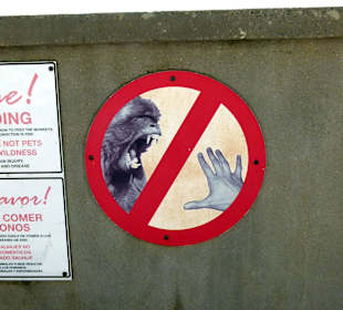 Man sollte sich dran halten