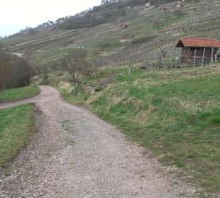 Unterjesinger Wengertwegle