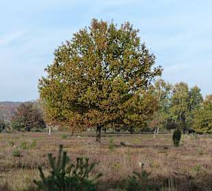 Abwechslungsreiche Landschaft