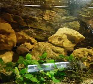 Exotarium
