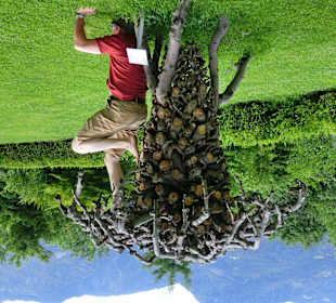 Mit beiden Beinen gut verwurzelt