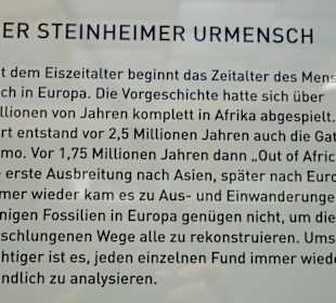 Urmensch aus Steinheim/ Murr /Tafel