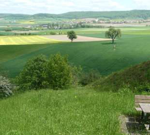 Eindruck vom Spaziergang Ostheimer Streifberg-Tour