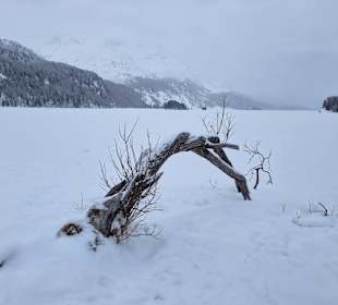 Silser See im Winter