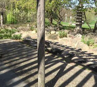 Japangarten Stuttgart