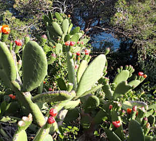 Stadtrundgang Castell-Platja d’Aro