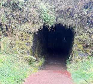 Inselrundfahrt Faial 