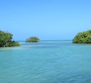 Wir besuchen unterwegs eine schöne Lagune