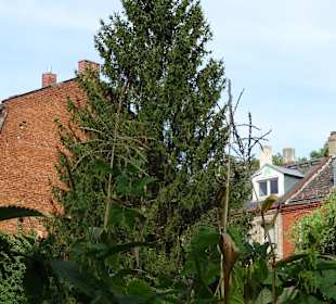 Uferpromenade