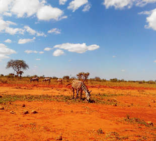 Tsavo East