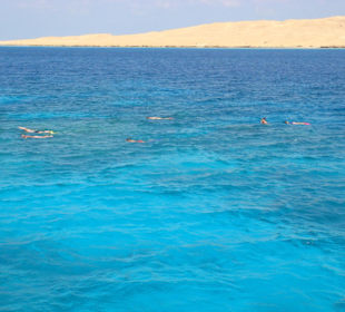 Wyprawa na rafę koralową