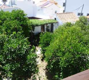 Schöner Garten im Innenhof