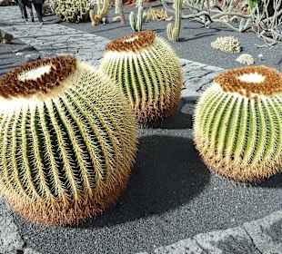 Schwiegermuttersitze