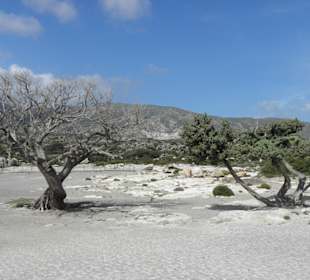 Traumhafter Sandstrand