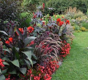 Prachtvolle Staudenrabatte