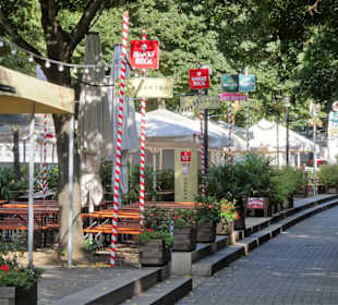 Impressionen von der morgendlichen Schlachte