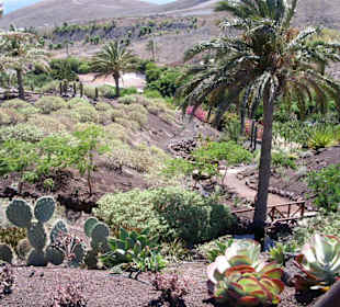 Oasis Park - sehenswert!