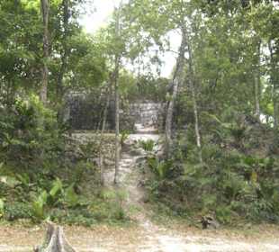 Tikal