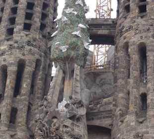 Zwischen den Türmen