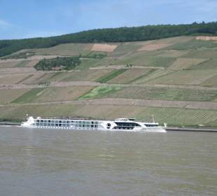 Fähre Bingen-Rüdesheim-Bingen