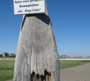 Alter Rammpfahl der Alten Liebe