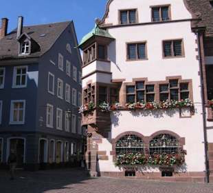 Uroki freiburga