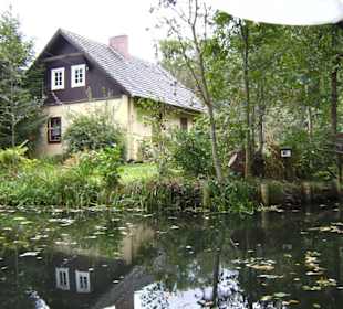Lübbenau - Natur pur