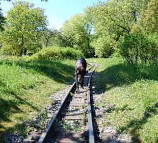 Parkbahn verpasst!