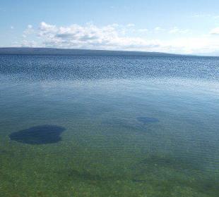 Lake Yellowstone