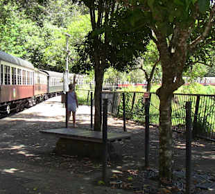 Oldtimerzug