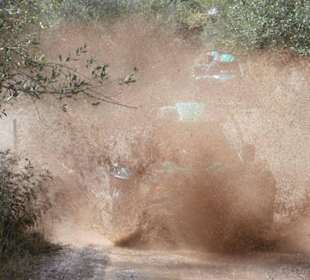 Offroad bei Monster Buggy