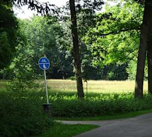 Rundgang durch den Bamberger Hain