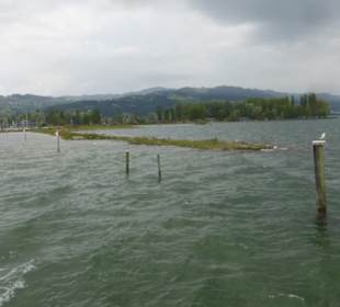 Fahrt mit Linienboot auf Altem Rhein und Bodensee