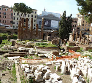 Area Sacra del Largo Torre Argentina 