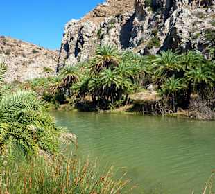 Palmenstrand von Preveli