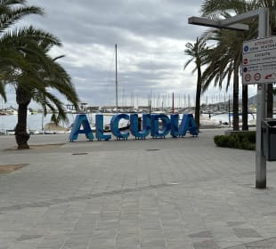 Yachthafen Alcudia