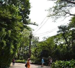 Singapur Zoo