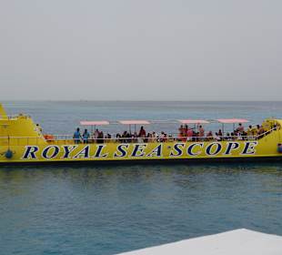 Delfin Tour Hurghada