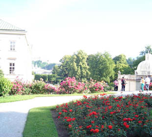 Mirabellgarten