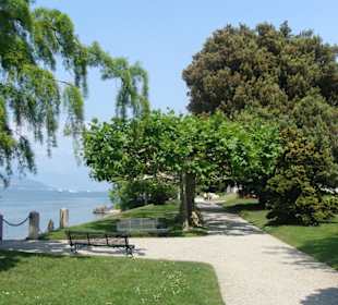 Der berühmte Garten Melzi